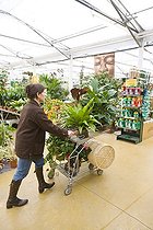 Customer with a caddy in a garden center