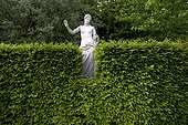 Stone statue behind an Hornbeam hedge Cormatin