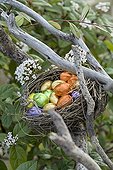 Easter eggs in nest in the garden