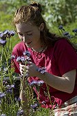 Young red-haired girl and lacy phacelia in a garden