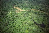 Aerial view of the forest of the protected area of Gamba