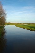 The Douve in the swamps of Cotentin Manche