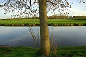 The Douve in the swamps of Cotentin Manche