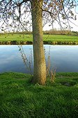 The Douve in the swamps of Cotentin Manche