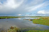 The Douve in the Marais du Cotentin Normandy