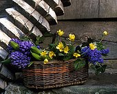 Bouquet in a basket in a garden