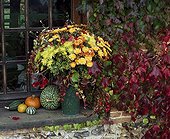 Autumn vegetal composition in the garden Jardins de Bellevue