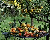 Harvest of citrus fruits on garden table