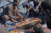 Fishermen cutting a female Hawksbill Sea Turtle Djibouti