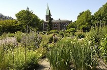 Exhibition of perennial plants Botanical garden Copenhagen
