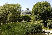Garden scenery at Botanical garden of Copenhagen