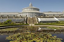 Basins with Water Lilies at Botanical garden of Copenhagen