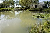 Swimming pool and purification plants, Marais Poitevin, France. The water was directly pumped from the swamp and will clarify over time.