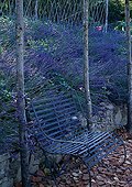 Bench and lavender in the Garden of Paradise at Cordes-sur-Ciel