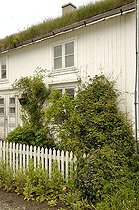 House with garden and vegetalized roof Vesteralen Islands