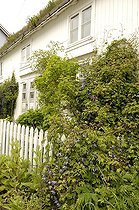 House with garden and vegetalized roof Vesteralen Islands
