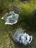Harvest of seeds on a garden terrace