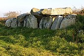 Dolmens posed as a stone tunnel Côte d'Armor France