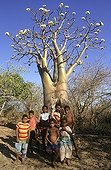 Group of children at the foot of a Pachypodium Madagascar 