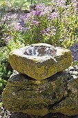 Carved stone trough filled with water in a garden ; It serves as a watering hole for birds 