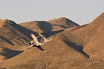 Grues du Canada en hivernage au Nouveau Mexique USA