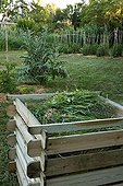 Compost plant in a garden in summer Provence France