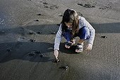 Girl collecting Olive Ridley Turtle hatchlings to release