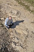 Naturalists observing footprints of Sauropod Dinosaurs ; Roger Moretti, membre of SDNO. <br>This site is perhaps the largest in the world for the footprints of sauropods.