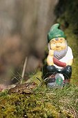 Common Toad and Garden gnome Center France