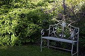 Bench and mooseberry in bloom in a garden