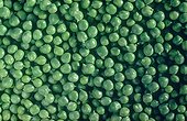 Peas