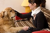 Woman and Golden Retriever on a sofa France 