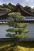 Zen garden in the temple Nanzen-ji in Kyoto Japan