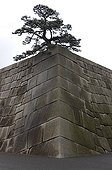 Tree and Wall Gardens of the Imperial Palace in Tokyo Japan
