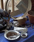 Harvesting seeds ;  