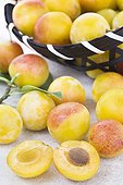 Mirabelle plums in a basket a stone table