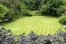 Formal lawn viewed from beech hedge