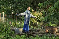 Kitchen garden surrounded by plessis and scarecrow France ; Les Jardins de Roquelin