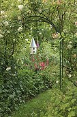 Rose 'Robin Hood' and Climbing Rose 'Alister Stella' ; Le jardin des lianes
