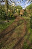 Coating of pozzolana on a grassy path