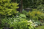 Mixed-border in a garden