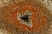 Coupe d'un fémur d'Allosaure cristallisé Utah USA