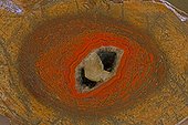 Coupe d'un fémur d'Allosaure cristallisé Utah USA