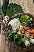 Harvest of vegetables in a basket