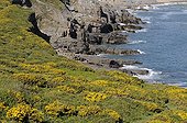 Landscape Pembrokshire Coast NP Wales UK