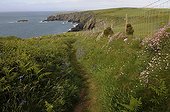 Pembrokeshire Coastal Path PN Coast Wales UK