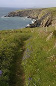 Pembrokeshire Coastal Path PN Coast Wales UK