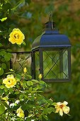 Lamp of garden in Provence France 