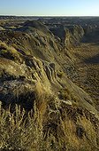 Paysage du Parc provincial Dinosaur Badlands Alberta Canada
