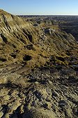 Paysage du Parc provincial Dinosaur Badlands Alberta Canada